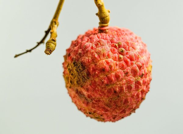 花韻．咖茶混合｜掛耳咖啡