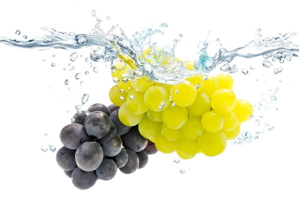 梅花鹿莊園．葡萄杯杯