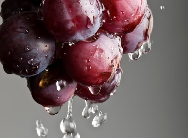 梅花鹿莊園．葡萄杯杯