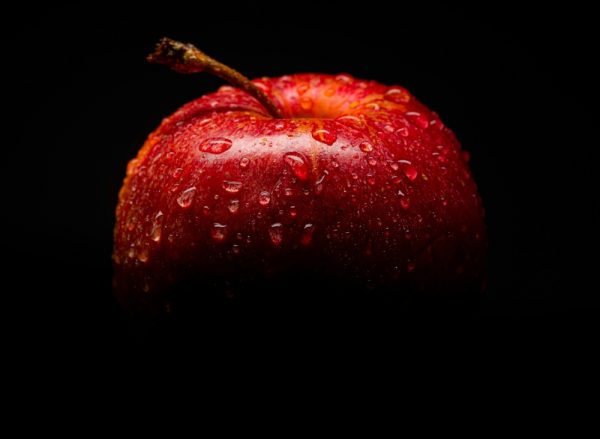 聖蘿蔓處理站．蜂鳥