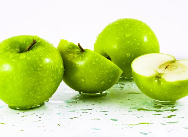 聖蘿蔓處理站．蜂鳥