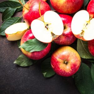 聖蘿蔓處理站．蜂鳥