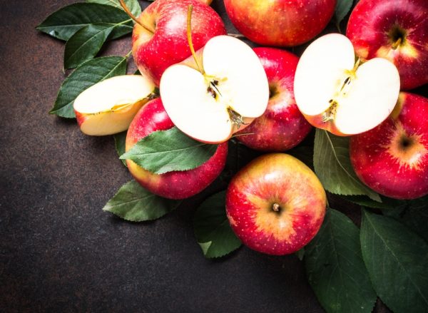 聖蘿蔓處理站．蜂鳥