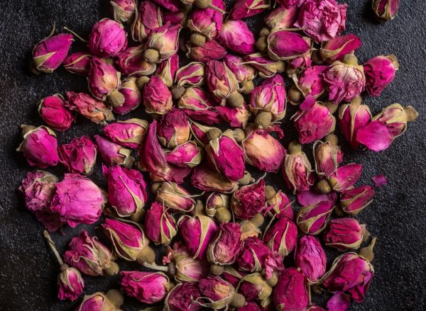 音樂家蕭邦．玫瑰