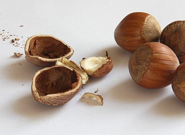 義大利人曼巴．烤榛果