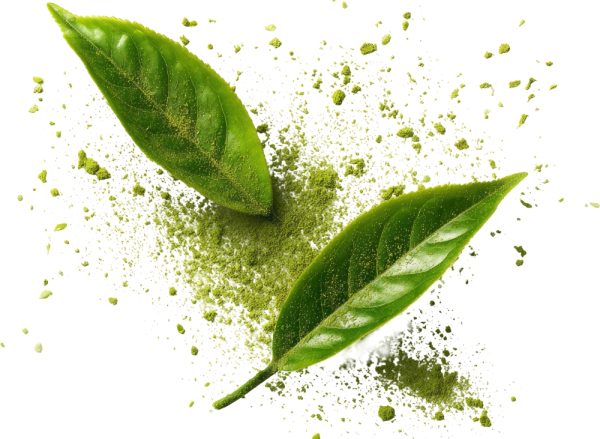 衣索比亞．丁圖．綠茶｜掛耳咖啡