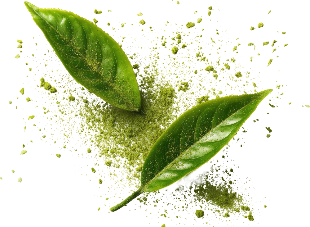 丁圖.綠茶