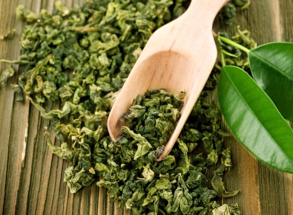 罕貝拉．丁圖．綠茶